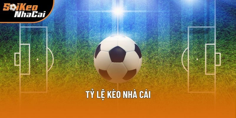 Tỷ Lệ Kèo Nhà Cái | Các Odds Thông Dụng Tại Soi Kèo Nhà Cái